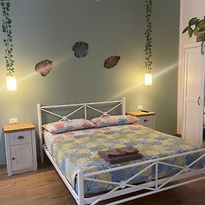 B&B Sunny'S House